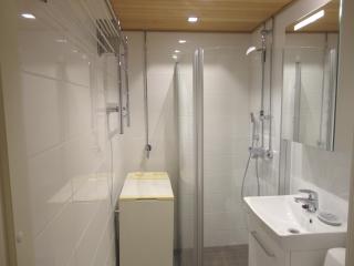 Luxhousing apartment with park view - Helsinki - 5