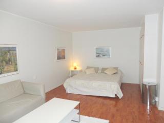 Luxhousing apartment with park view - Helsinki - 3