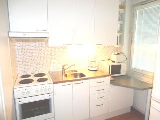 Luxhousing apartment with park view - Helsinki - 2