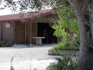 Le Dame Country House, Marche - Montegranaro - 3