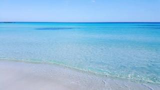 S1 meublé kelibia la Blanche - Kelibia - 7