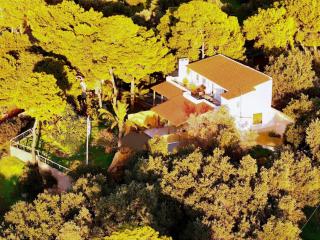 Villa Hermes - Vouliagmeni - 0