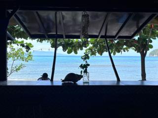 Kusirena Homestay - Puerto Galera - 8