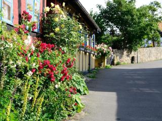 The Apple Garden Holiday Center - Allinge - 6