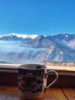 The Pine Pause-Hallan-i - 4