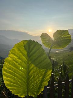 Traditional Hmong House Among Rice Fields - Lao Cai - 7