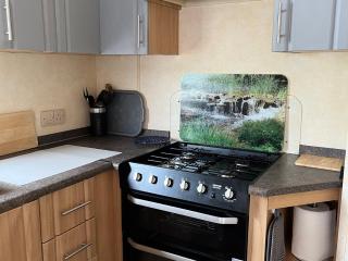 Sylvan - Builth Wells - 2
