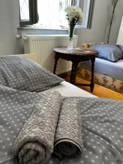 Museum Apartment in the City Center - Ráckeve - 7