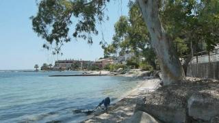 Benitses Cozy apartment just 30m from the beach - Benitses - 4