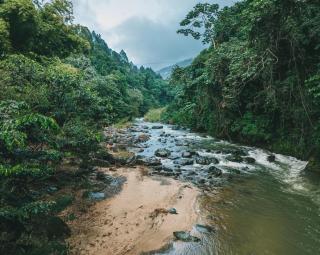 River Glamping Boutique Jarabacoa - Jarabacoa - 5