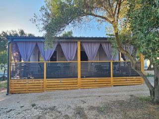 Mobile home Nela - Sveti Filip i Jakov (Santi Filippo e Giacomo) - 9