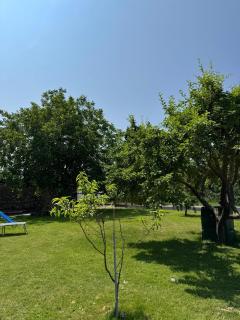 Anita Apartment Breitenbrunn Chill And Relax - Breitenbrunn - 4