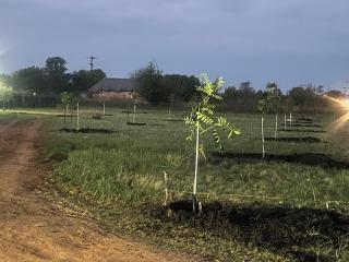 The Grove - Potchefstroom - 7