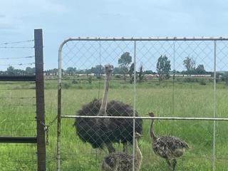 The Grove - Potchefstroom - 3