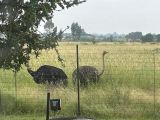 The Grove - Potchefstroom - 2