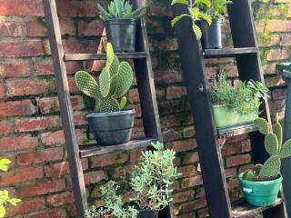 The Grove - Potchefstroom - 1