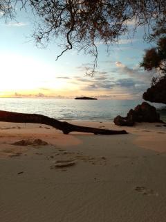 Rosye homestay raja ampat - Fam - 8