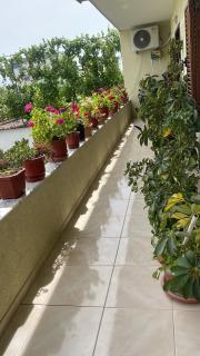 Spacious Triple Room with Balcony - Kamëz - 7