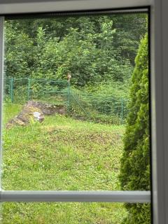 Hawk Studio - Baden-Baden - 7