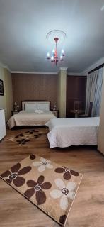 Hotel Theo - Korçë - 4