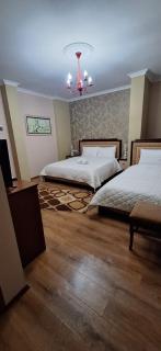 Hotel Theo - Korçë - 8