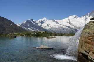 Apartment Alpenblick - Saas-Grund - 3