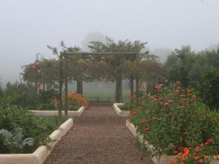 The Barn On 62 - Cottages - Montagu - 6