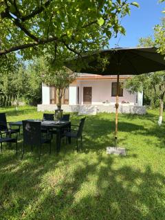 Konak - Gabala - 4