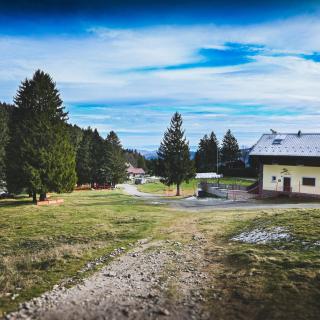 Le Motel du Gaschney - Muhlbach-sur-Munster - 2