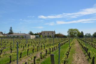 Château la Renommée - Saint-Laurent-des-Combes - 4