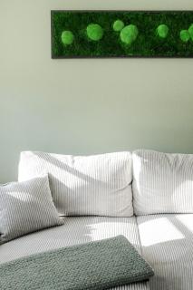 FachwerQ'sleep Apartments adults only - Quedlinburg - 6