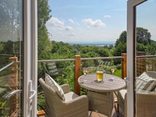 Hillside Hideaway - Flaxley - 0