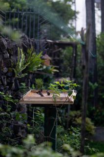 The Bungalow - Rathnapura - Ratnapura - 4
