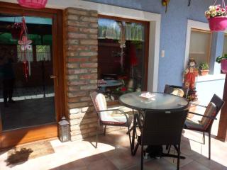 Apartment in Balatonbereny - Balaton 26487 - Balatonberény - 5