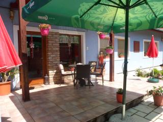 Apartment in Balatonbereny - Balaton 26487 - Balatonberény - 3