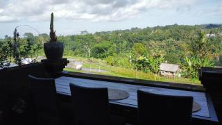 GJ Guest House Sidemen - 6