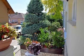 Apartments in Siofok - Balaton 50113 - 2