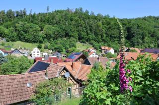 Haus im Grünen - Bad Liebenstein - 1