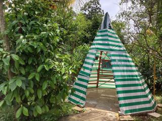 Fantasías del alma - Tuxtla Chico - 3