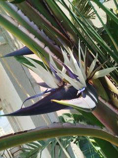 Apartments Svetlana - 9