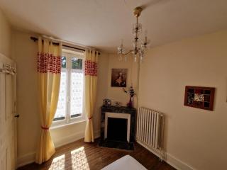 Romantic 19th century house with large garden and BBQ - 1