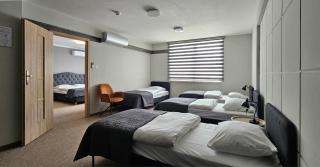 Hotel Great Polonia Kraków Airport - Ex Hotel Witek - Modlniczka - 7