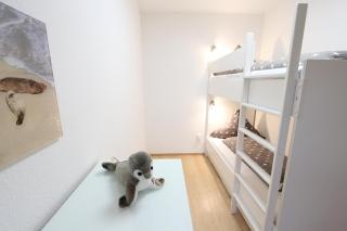 Möwenweg 2b - Nr 1 Austernfischer - 2