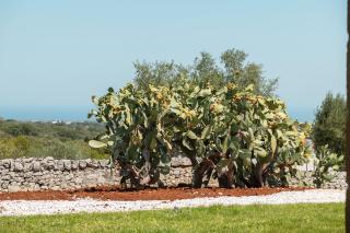 Casina Menga - Luxury Villa with Pool & Sea View in Monopoli by HelloAPULIA - Padresergio - 1