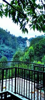 Ever Green Mount - 9