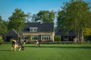 Appartement Hoornsterzwaag, landelijk gelegen - Hornsterzwaag - 0