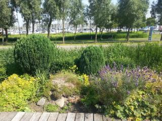 Parel in Makkum - Makkum - 8