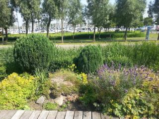 Parel in Makkum - 6