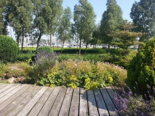 Parel in Makkum - 5