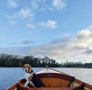 CABÜ by the Lakes - Cavan - 9